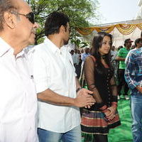 Venky and Trisha New Movie Launch Stilss | Picture 33959